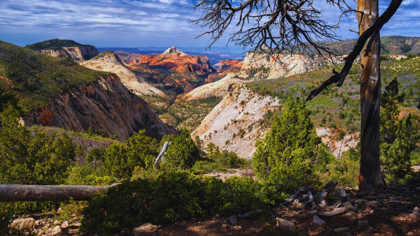 Panoramic view from the summit of a Utah mountain, showcasing vast landscapes and distant peaks, starting from Lava Point Trailhead.
