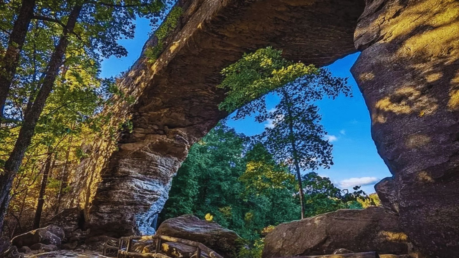 A large rock archway surrounded by trees in a serene woodland setting.