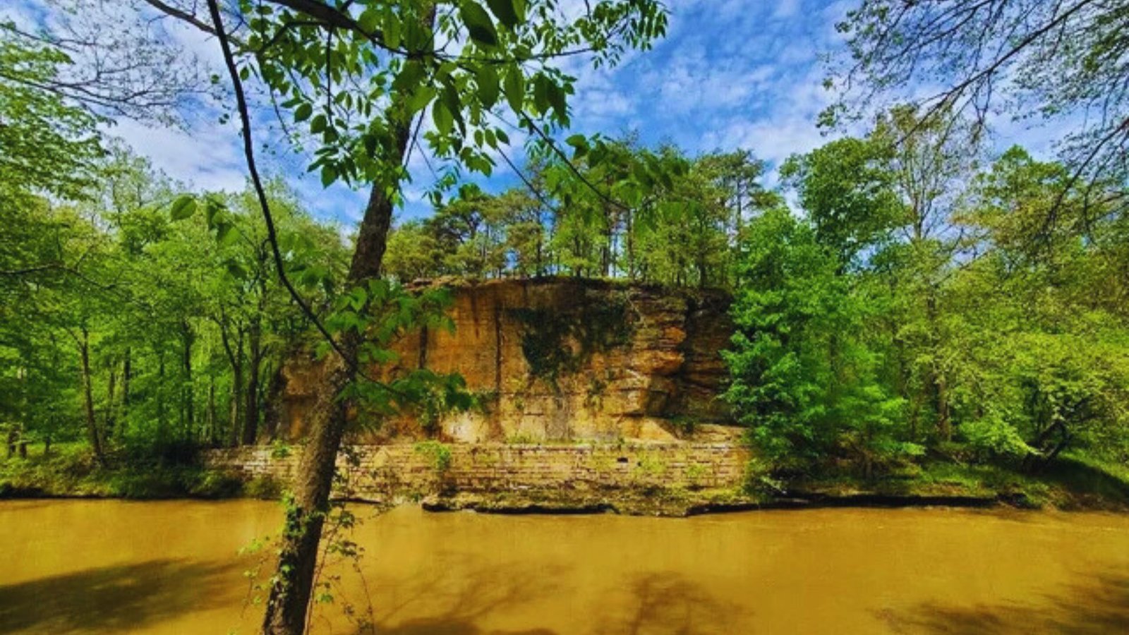 A serene river flows through a landscape of trees and rocks in the background, showcasing natural beauty.
