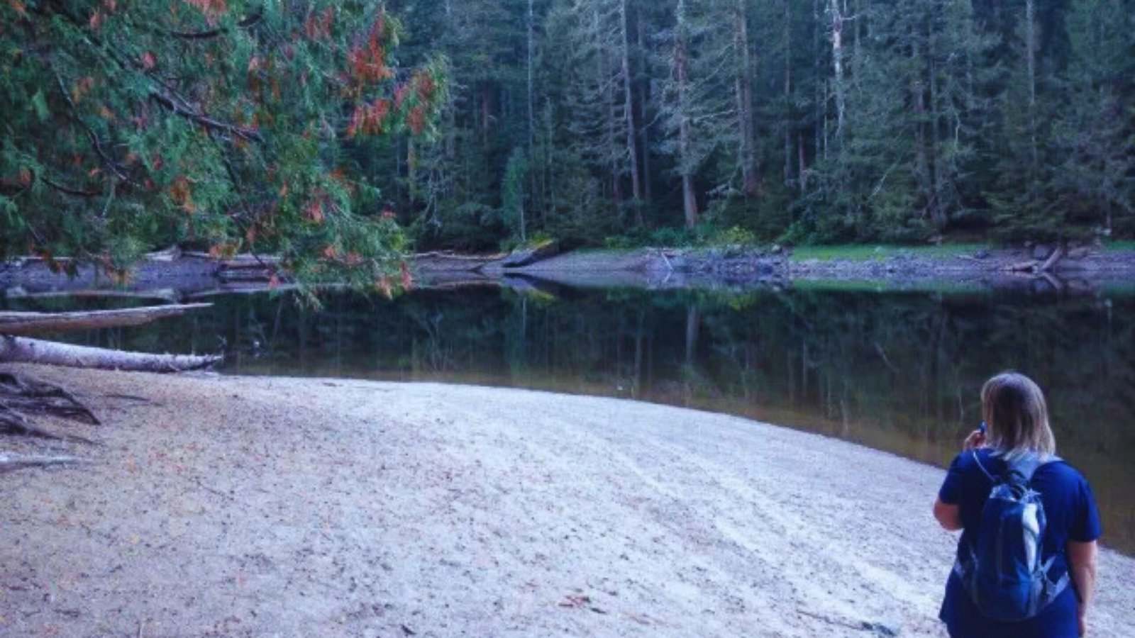 A woman walks along the shore of Barclay Lake, surrounded by trees and mountains on a sunny day.
