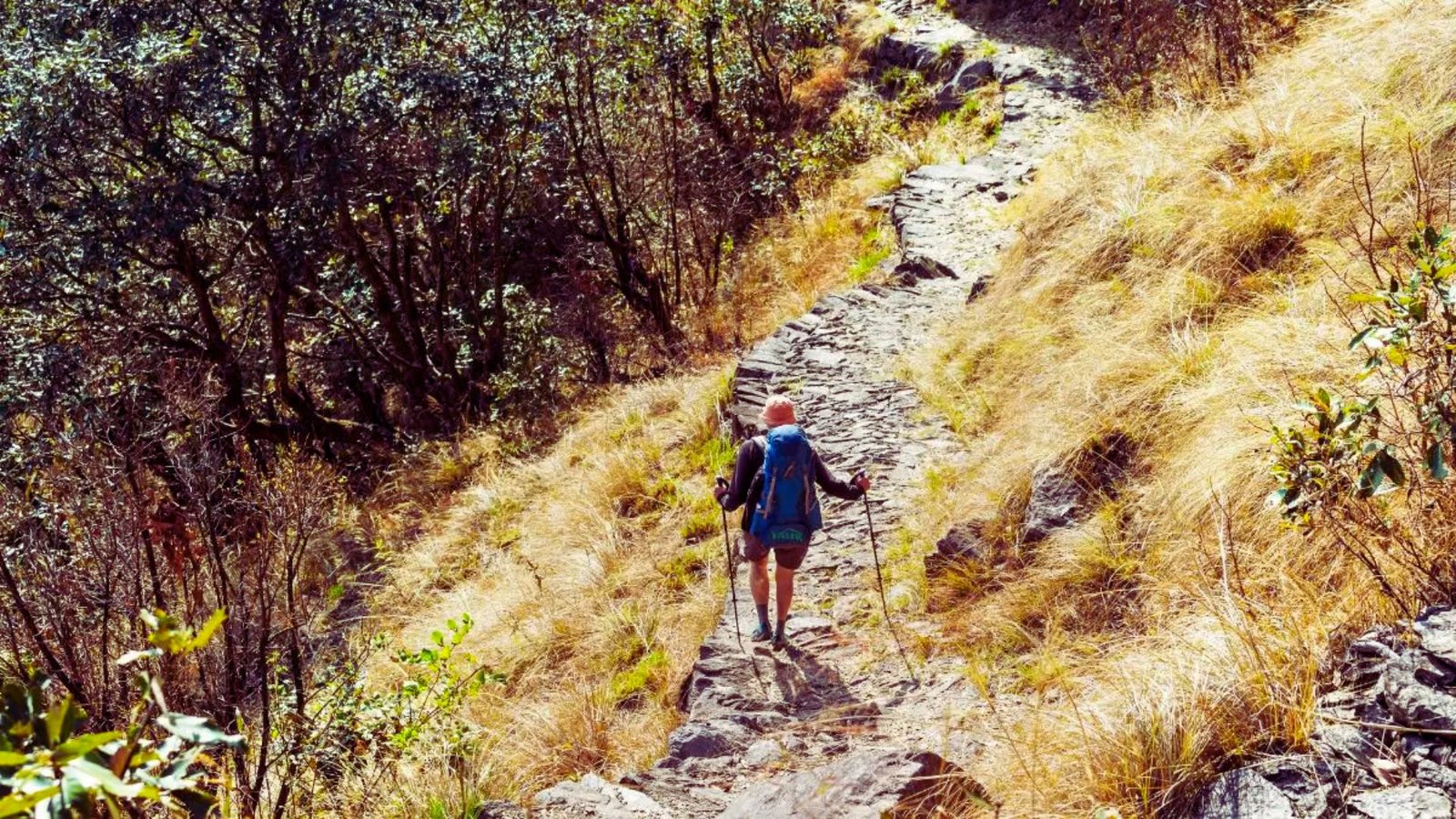 A person ascends a steep mountain trail, surrounded by rocky terrain and greenery.
