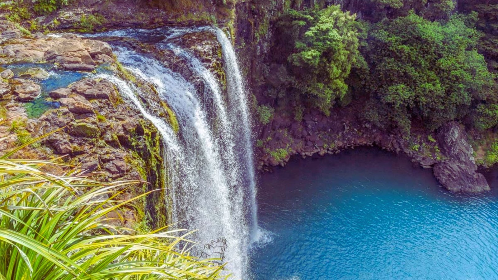 A breathtaking New Zealand waterfall plunging into a serene pool, enveloped by dense forest and soft mist.