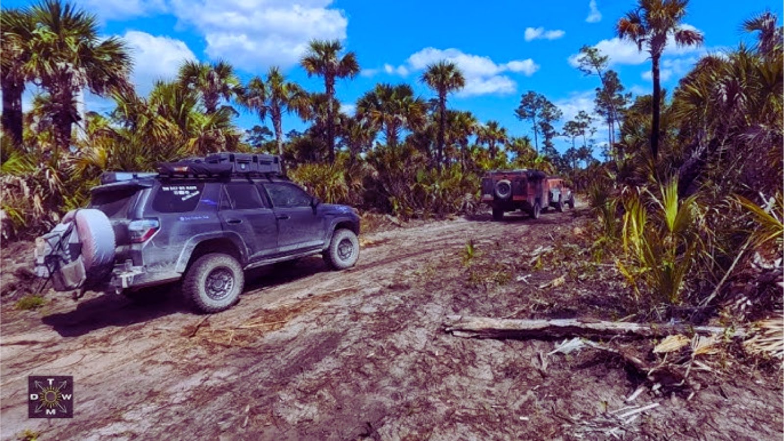 Two SUVs drive along a dirt road through a dense forest, surrounded by tall trees and natural greenery.