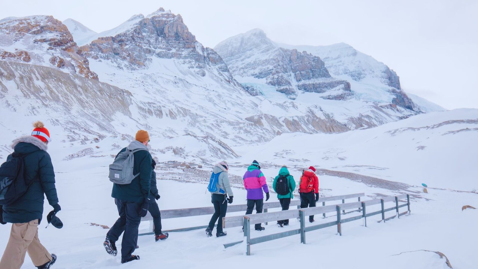A group of people walking together on a snow-covered path surrounded by trees.