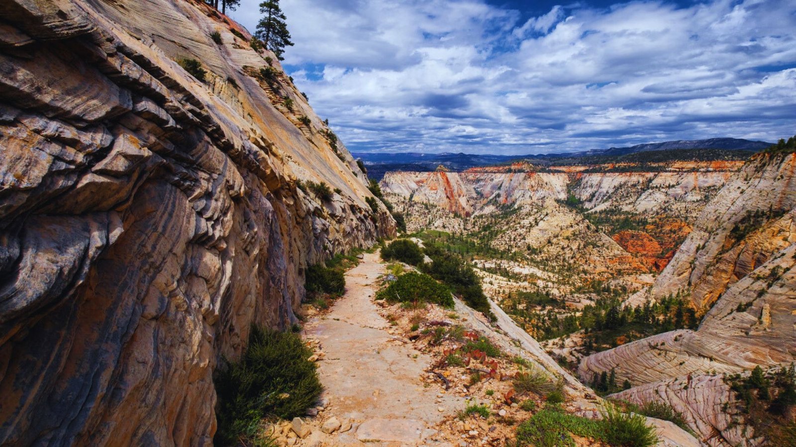 A winding trail leading up the canyon, surrounded by rocky cliffs and sparse vegetation under a clear blue sky.