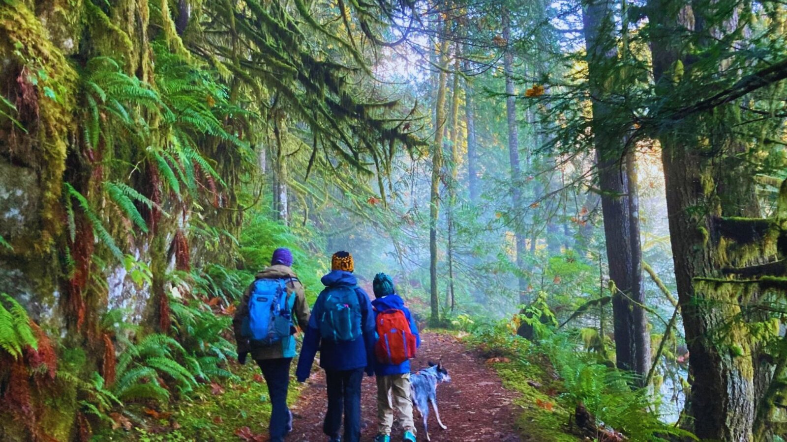 Three hikers with backpacks walking along the Boulder River Trail in a lush green forest.
