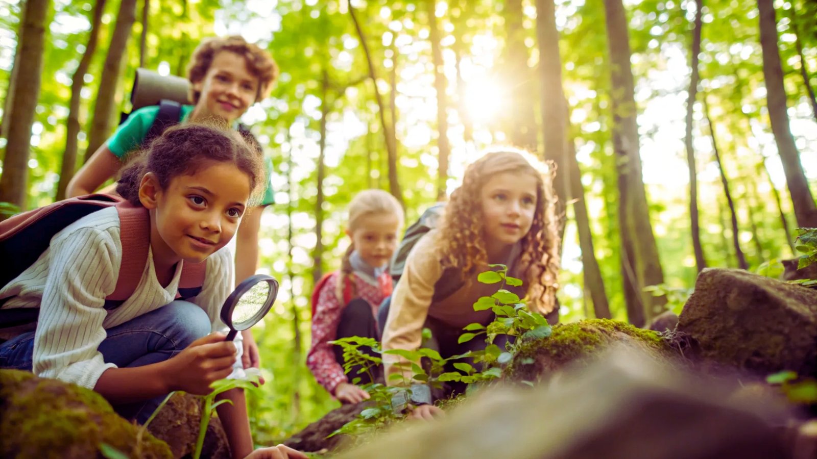 Children exploring a forest, using magnifying glasses to examine plants and insects closely.