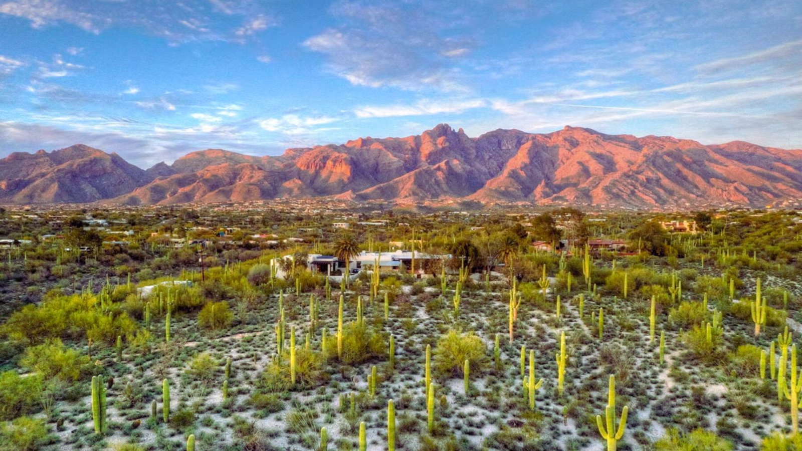  A vast desert landscape featuring rolling sand dunes and distant mountains under a clear blue sky.
