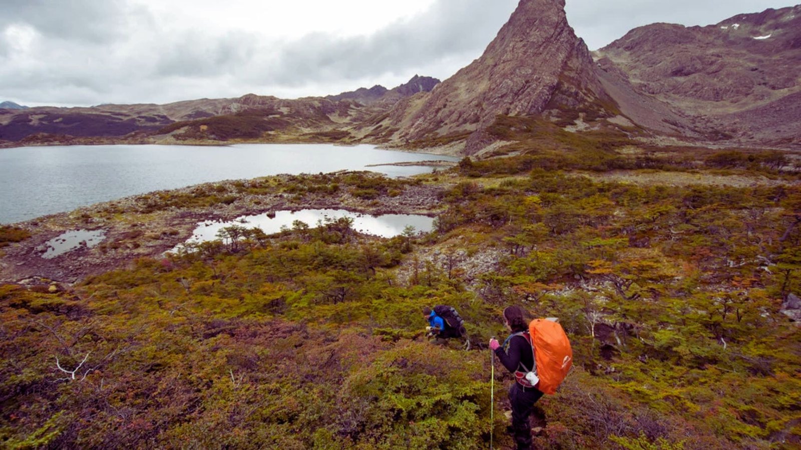 8. Dientes de Navarino Circuit
