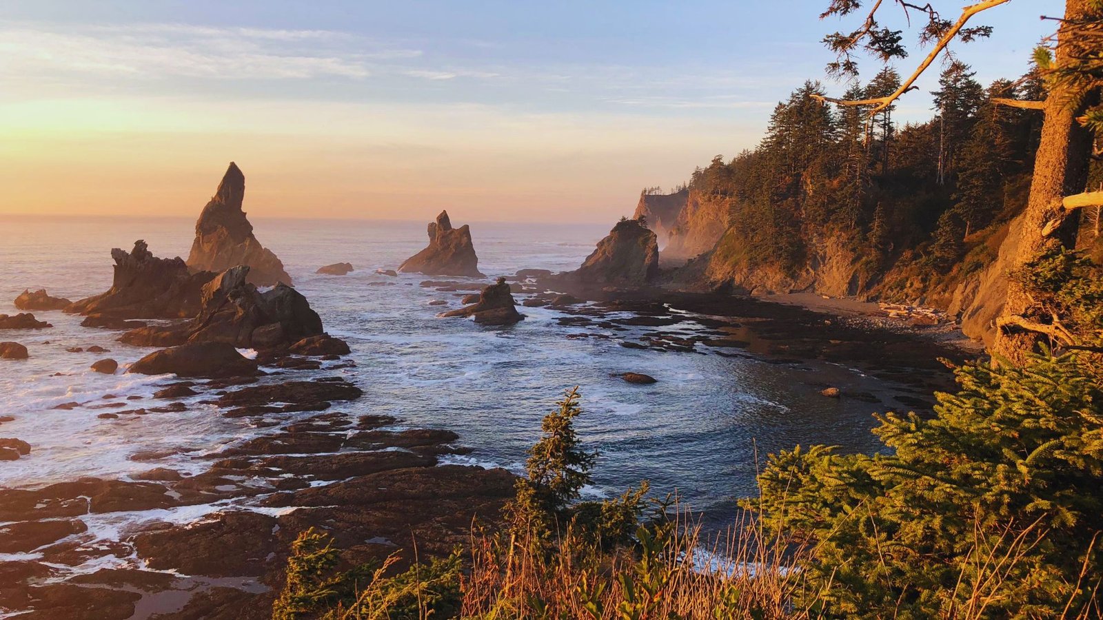 The sun sets over the ocean, casting golden hues on the rocky shoreline at Shi Shi Beach Trail.

