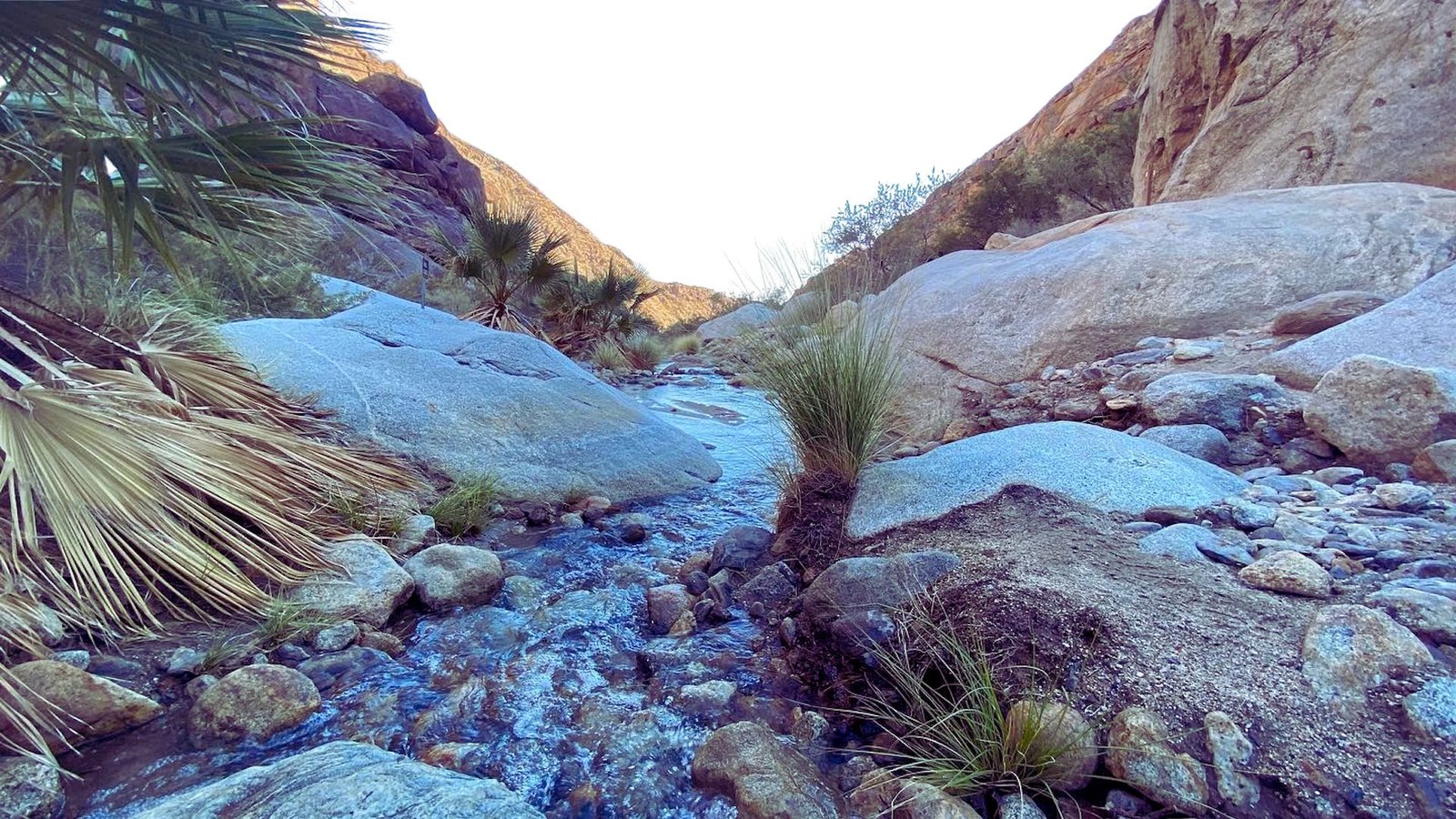 A stream flows through a rocky canyon, surrounded by boulders and palm trees under a clear blue sky.