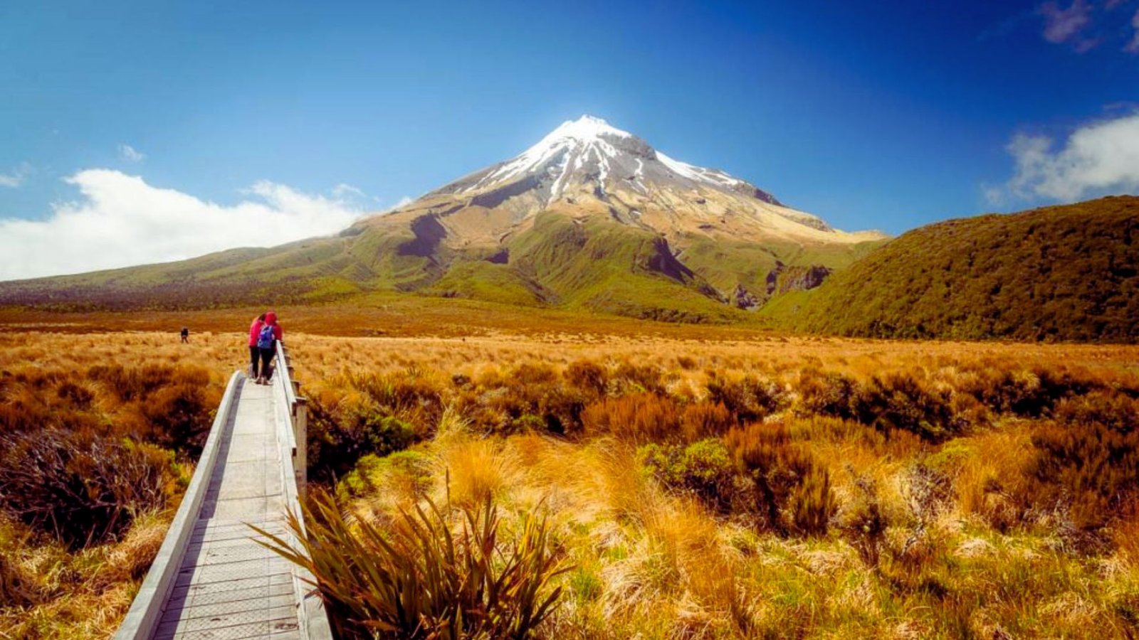 A person walks along a wooden boardwalk that stretches over a mountain landscape, surrounded by greenery and blue sky.