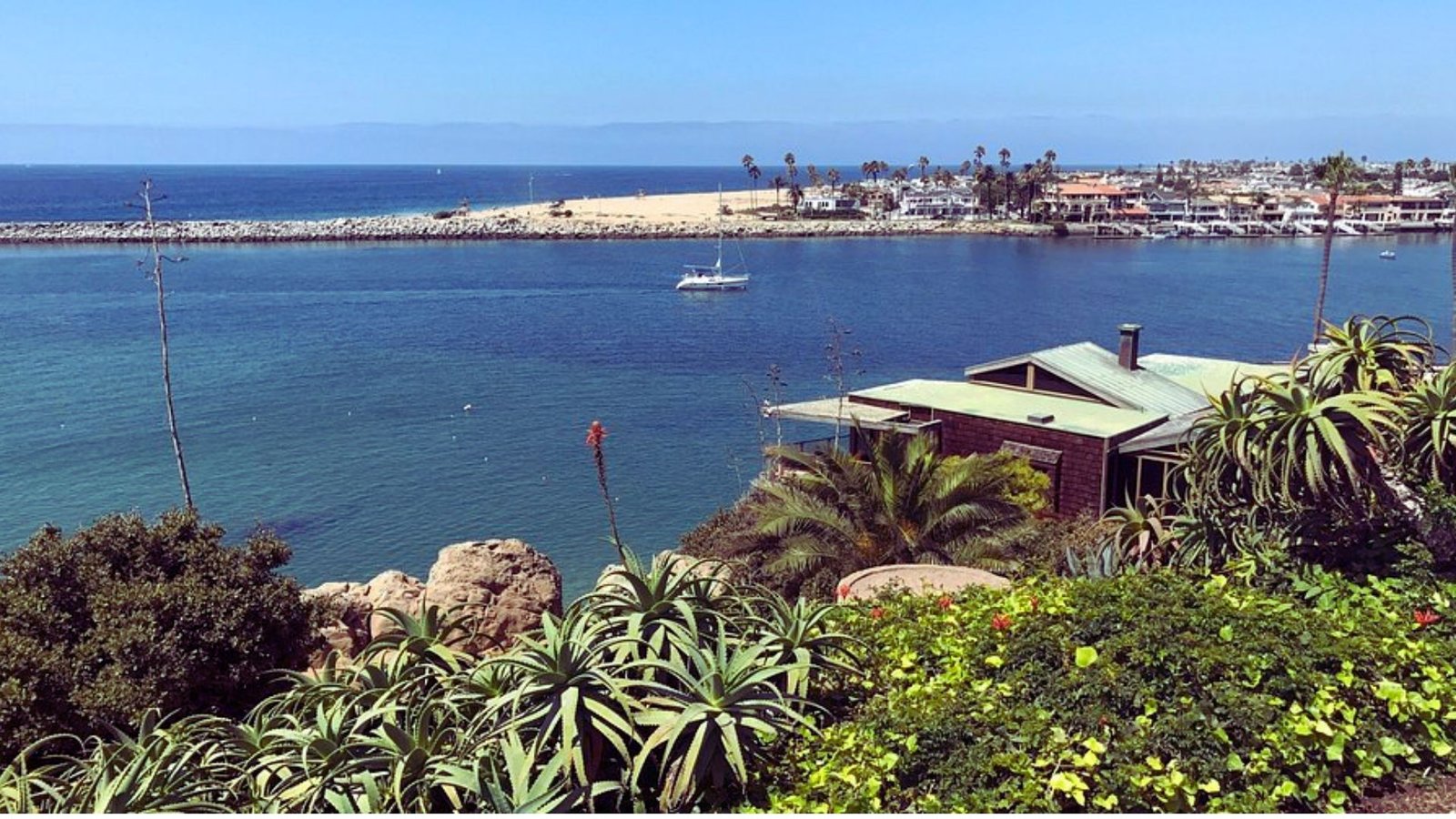 A scenic view of the ocean from a hillside, showcasing waves and distant horizon under a clear blue sky.
