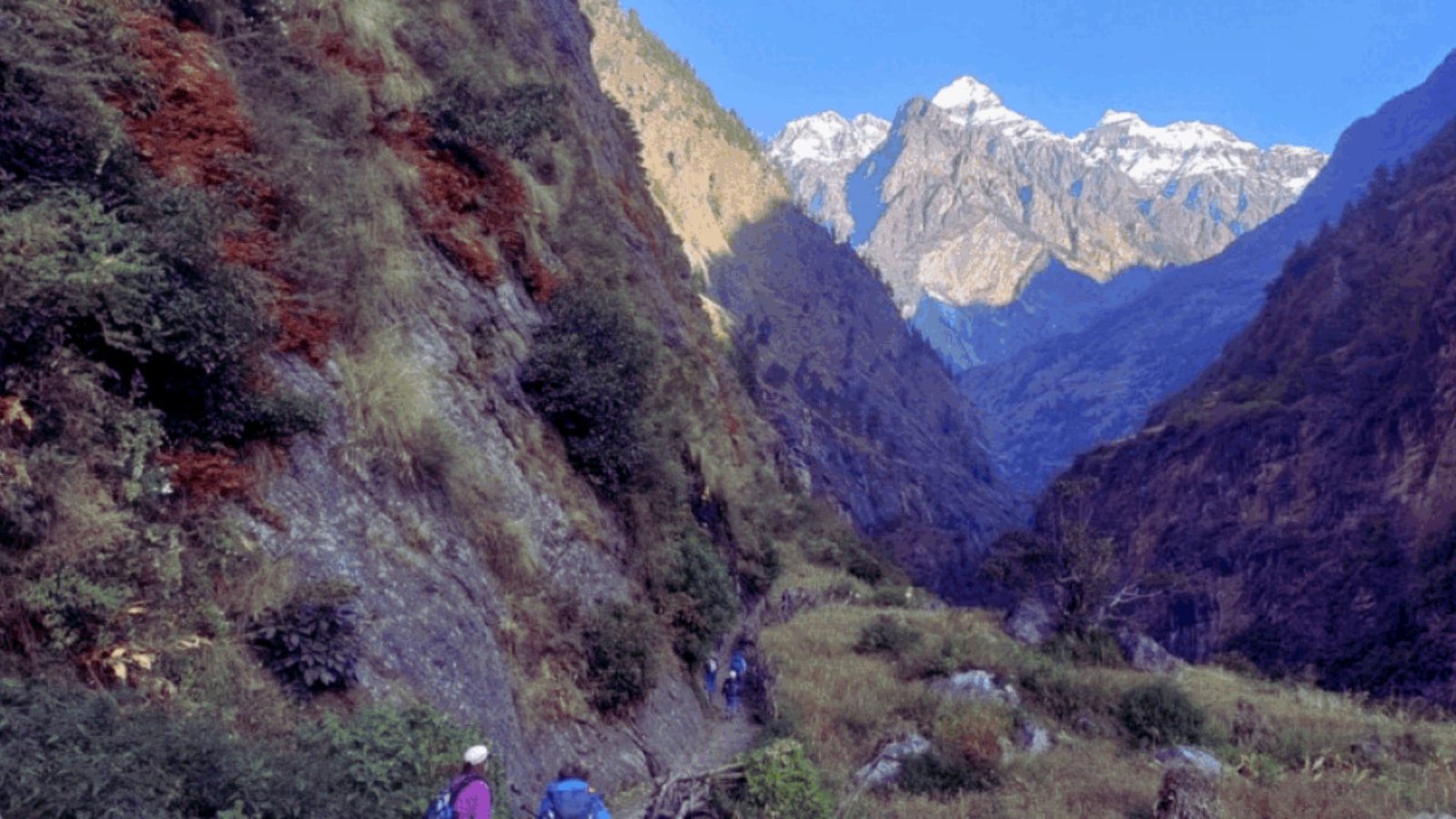 A narrow mountain path surrounded by rocky terrain and greenery.
