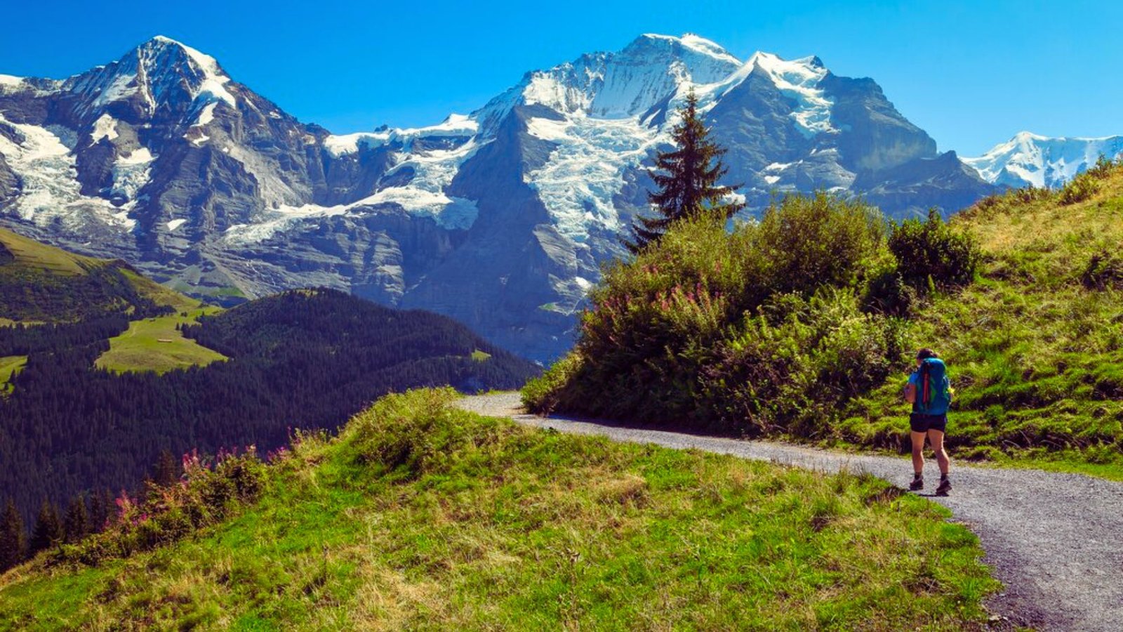  A person walks along a path with a majestic mountain backdrop, surrounded by nature's beauty.