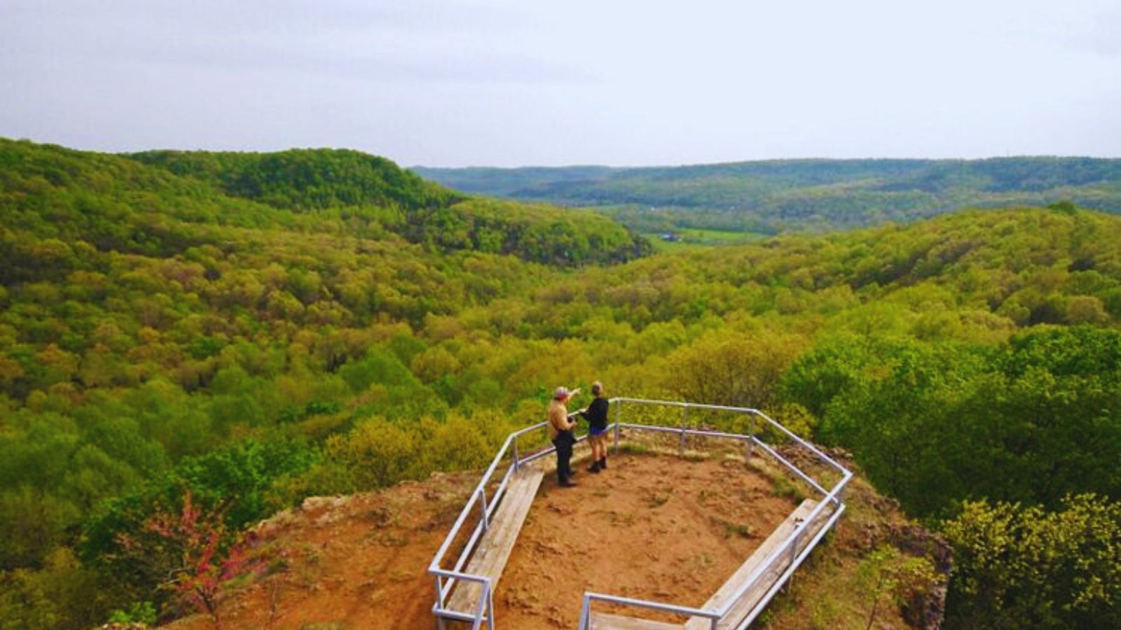 A man stands on a railing, gazing out over a lush green forest below.
