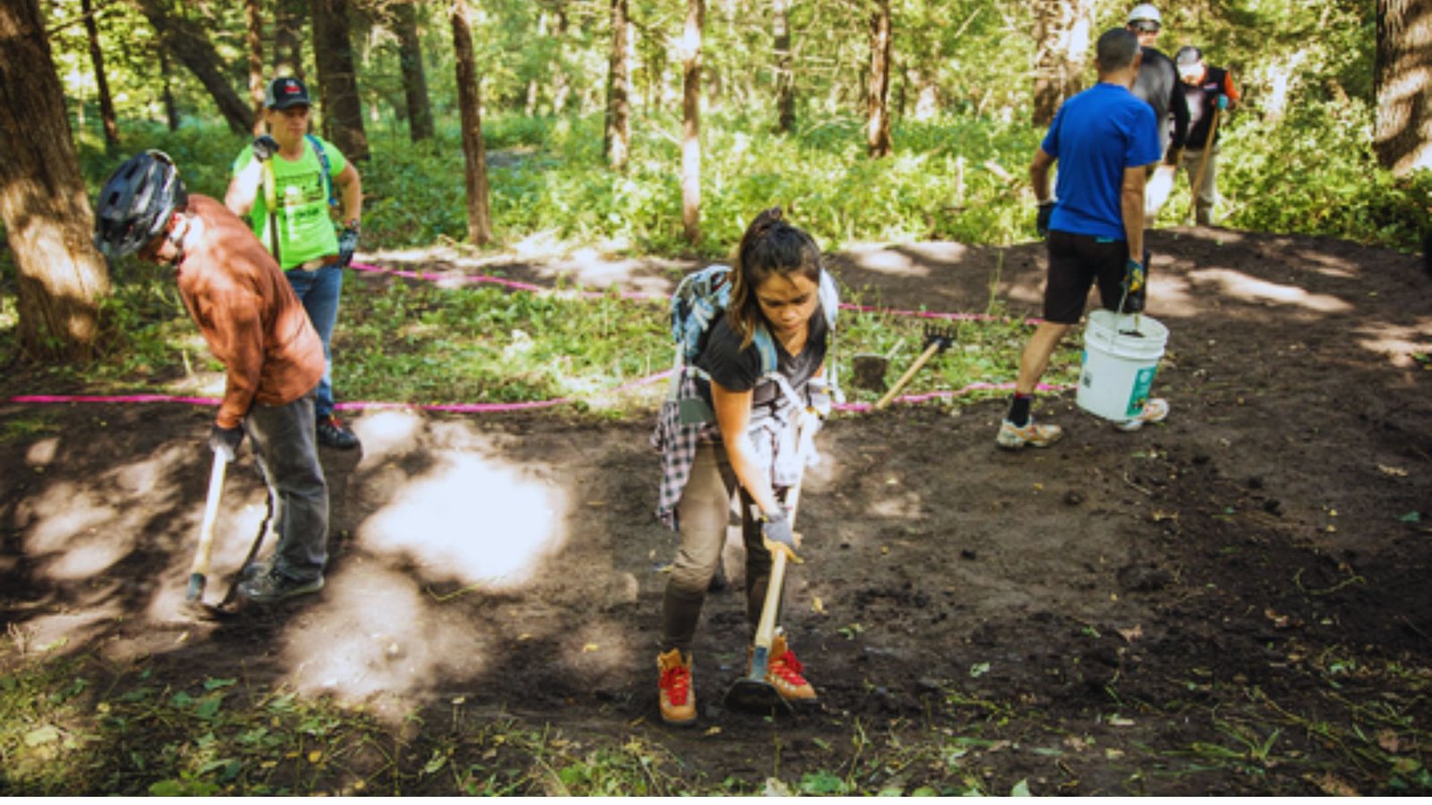 A group of people working in the woods, using shovels to dig and clear the area.