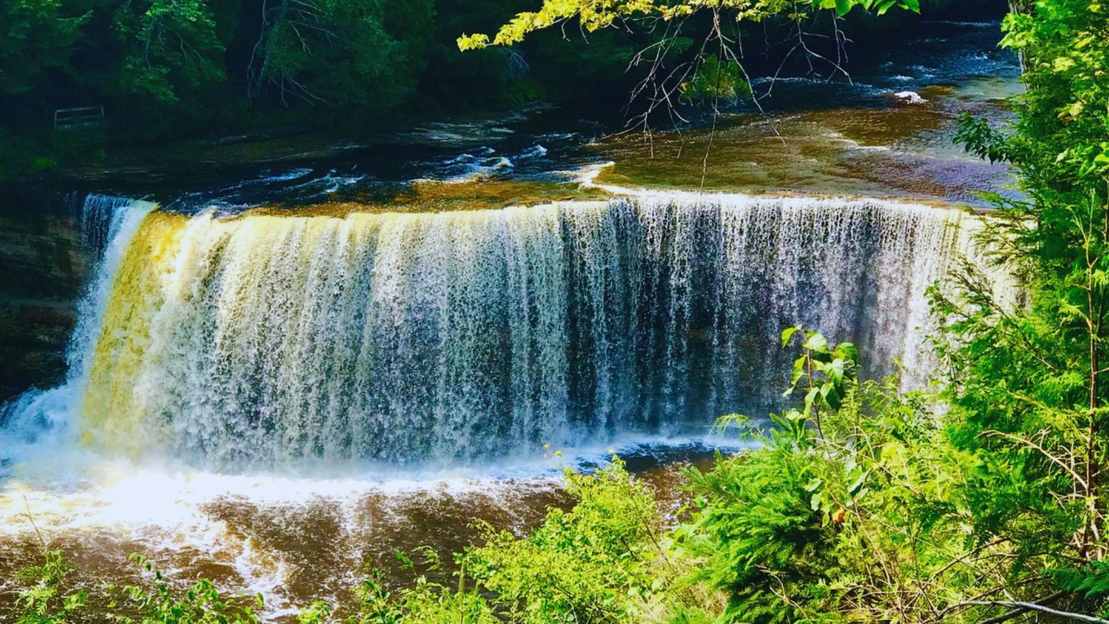 Tahquamenon Falls in Tahquamenon Falls State Park, showcasing cascading water surrounded by lush greenery.
