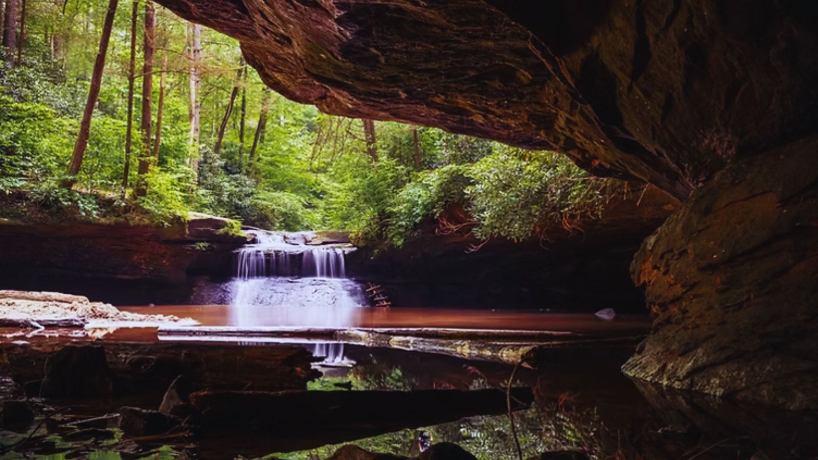 Red River Gorge Trails with Waterfalls and Views