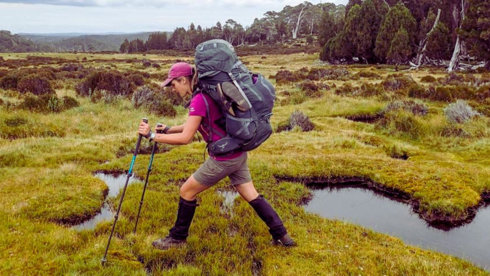  A woman with a backpack and hiking poles walks through a marsh, surrounded by tall grasses and water.